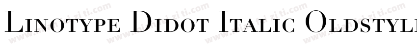 Linotype Didot Italic Oldstyle Figu字体转换